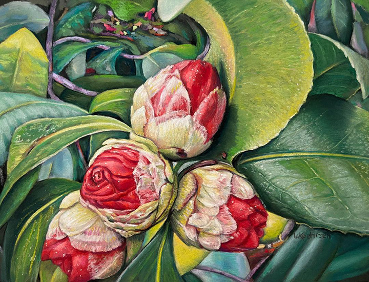 Wendy Koehrsen The Buds